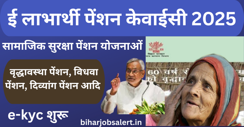 वृद्धावस्था पेंशन, विधवा पेंशन, दिव्यांग पेंशन आदि)